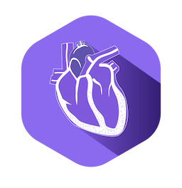 Cardiology icon